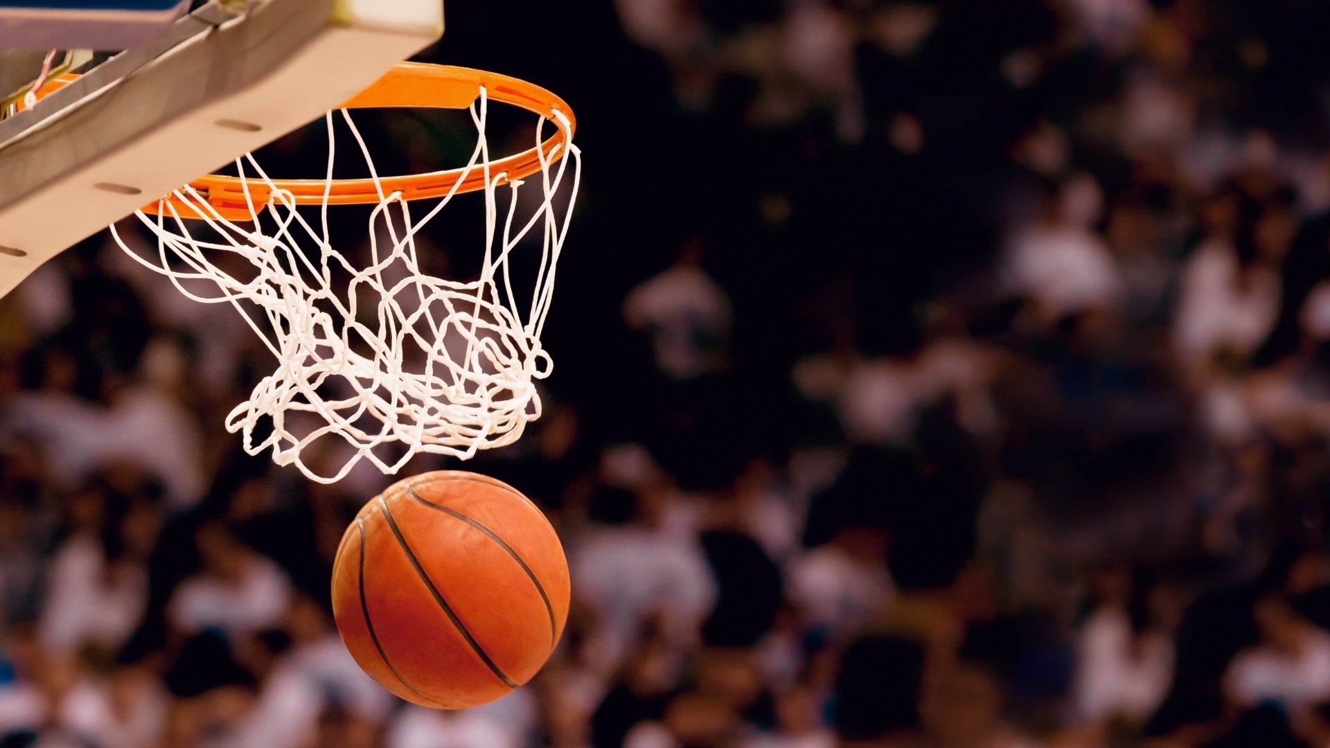 伯德再战神州，篮球传奇风采尽展，伯德nba