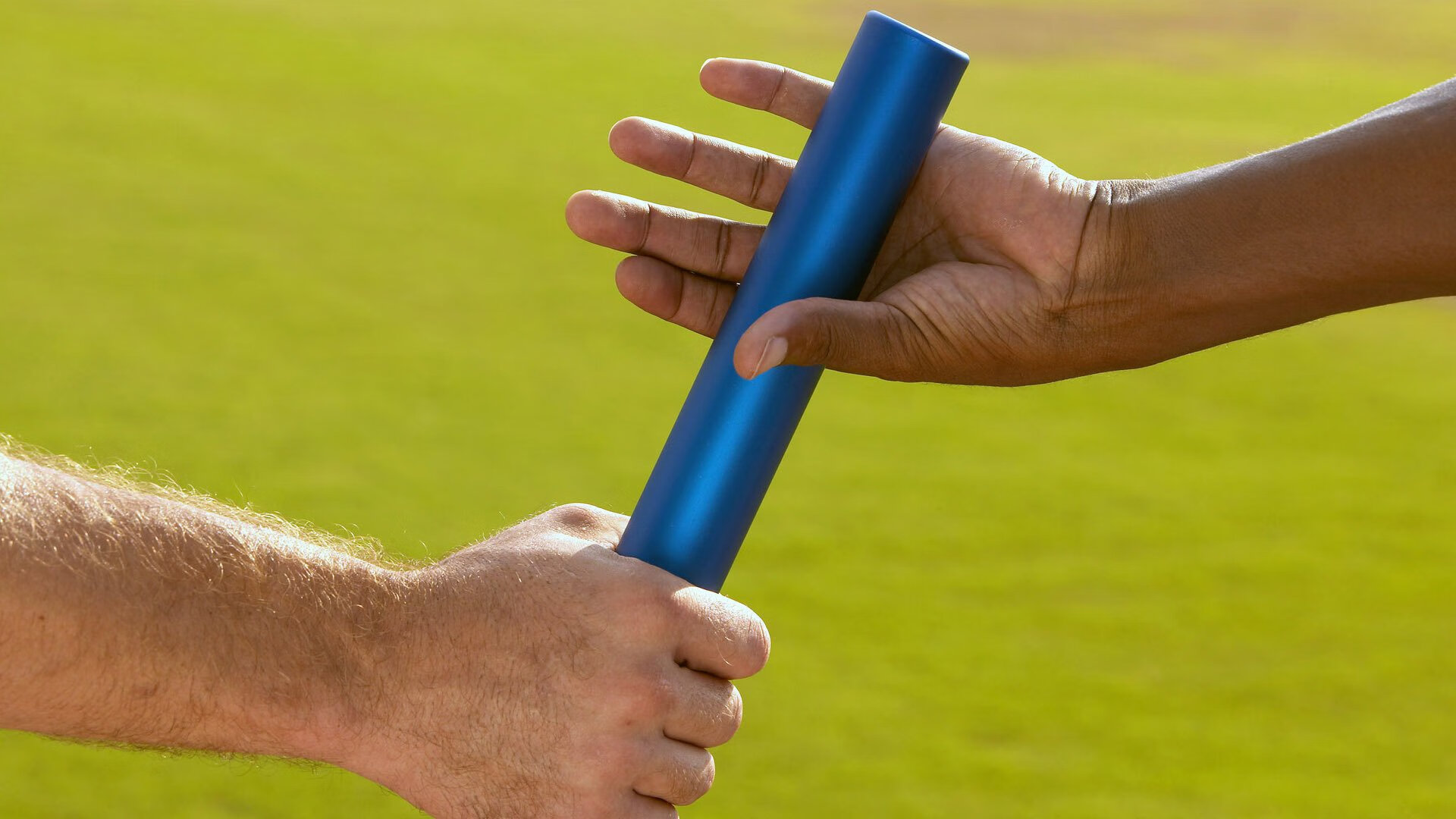 _花海盛典：在紫色薰衣草田中举行的艺术比赛_，薰衣草花海水彩画