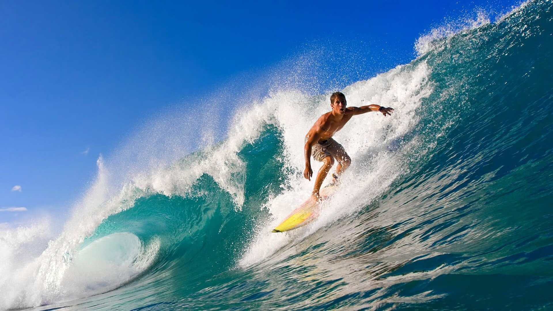 华体会真人体育-未来联盟：全球化趋势带来的新机遇和挑战，论未来的联合体